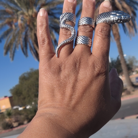 Serpentine Snake Ring Set - Picture 4 of 6